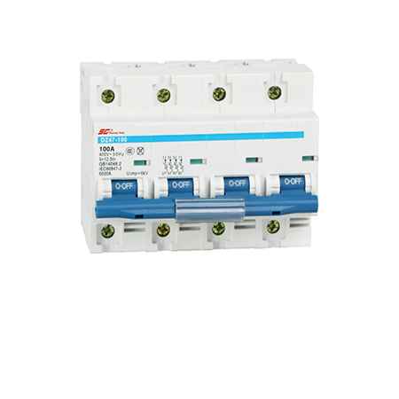 DZ47-100 Series Miniature Circuit Breaker